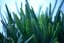 10 Amazing Benefits Of Aloe vera Usage