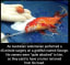 This surgeon performed a 45-minute surgery on a goldfish named George 😱