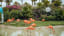 Flamingo Yoga Is on the Itinerary at This Bahamas Resort