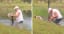 74 Y.O. Florida Man Wrestles Alligator To Save His 3 M.O. Puppy