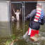 Dogs rescued from locked kennel surrounded by rising Florence floodwater