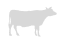Cool website where you find the invisible cow on the page by focusing on the audio