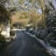 7 essential safety tips for driving on country lanes in winter