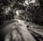 The Shortest Journey: On Going for a Walk around the Block -