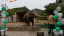 'World's Loneliest Elephant' Heads to Cambodian Sanctuary