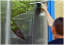 Window Cleaning in Kenmore, Indooroopilly,Taringa, Chapel Hill, Ipswich, Eight Mile Plains