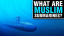 What are Muslim Submarines?