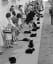 "Black Cat Auditions Photographed for Time Magazine in 1961" 🐈‍⬛