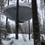 Is this a UFO or just a really cool treehouse? 🛸
