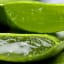 Is it Safe to Take Aloe Vera When You're Pregnant?
