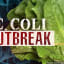 Romaine Lettuce From California Linked To Multistate E. Coli Outbreak