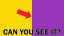 Only 12% of People Can See This!