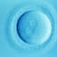 IVF moonshot takes next step towards making human eggs from skin