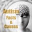 Facts and Causes of Autism