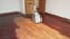 Old Wooden Floors - Sanding or Replacing?