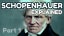 Schopenhauer Explained: Metaphysics of the Will