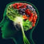 Top 10 Foods for Brain Health - Top 10 Foods for Brain Health
