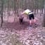 Cyclist frees a mountain goat that got its horn wrapped around a tree