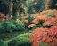Portland Japanese Garden [Mamiya 7ii, 80mm f/4, Portra 800]