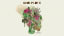 [FRESH] Grouplove - Wildflowers (Tom Petty Cover)
