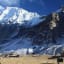 Kanchenjunga Trekking - Itinerary & Cost - Hike to Kanchenjunga - Adventure Trek