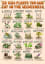 Wild Plants to save your life!