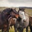 Pin by Johanna Bradford on Cavalos | Horses, Wild horses photography, Pretty horses