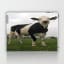 Dutch Cow Laptop & iPad Skin by freddybogato
