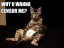 Cute cat theory of digital activism