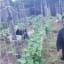 Actor, Osita Iheme Goes Into Farming, Shows Off His Resident Farm