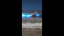 Unbelievable Bioluminescent Beach, California