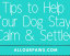 Tips to Help Your Dog Stay Calm & Settled