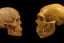 Could Neanderthals Speak? The Ongoing Debate Over Neanderthal Language