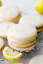 Buttery Lemon Shortbread Cookies with a Glaze