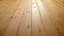 Answering Your Wood Flooring Concerns