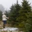 Five Surprising Ways Your Christmas Tree Can Give Back Long After the Holidays