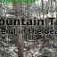 Mountain Time - Send in the Bears!