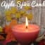 Homemade Apple Spice Candle