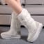 Waterproof Nylon Snow Boot Women Mid Calf Plus Size Long Winter Boot
