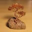 I made this tiny bonsai tree out of copper wire from an old USB cable