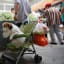 A Chinese city is keeping tabs on bad dog owners with a credit score