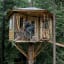 Tree house elevator