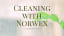 Cleaning with Norwex