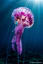 Big purple jellyfish | Animáles de océano, Criaturas marinas bonitas, Animales del oceano