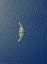 B-2 Spirit flying over the ocean