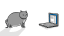 Cat vs Internet
