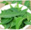 6 Stunning Advantages of Chewing Neem Leaves Routinely