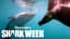Diver’s Close Encounter with Alaska’s Salmon Sharks | Shark Week