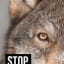 Stop Trump's War on Wildlife. CENTER FOR BIOLOGICAL DIVERSITY.