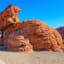25 Photos to inspire you to visit Valley of Fire State Park - Travel To Blank Walking Guide